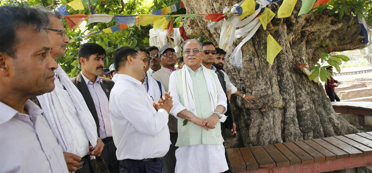 प्रचण्डले गरे गौतम बुद्धले बाल्यकाल बिताएको तिलौराकोट क्षेत्र अवलोकन