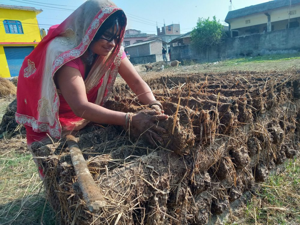 बर्खायामको इन्धन ‘गुइँठा’ को जोहो हिउँदमै